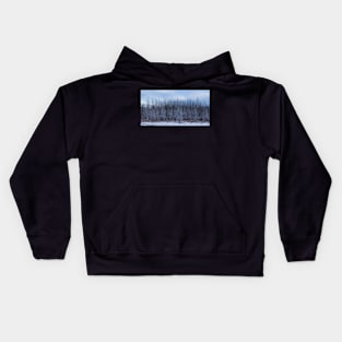 Cold Winter Scene. Kids Hoodie